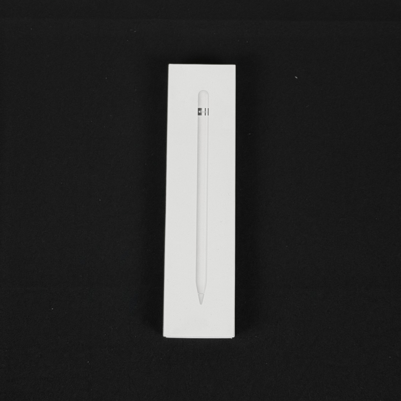 Apple Pencil 1ª Geração