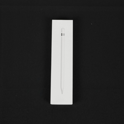 Apple Pencil 1ª Geração