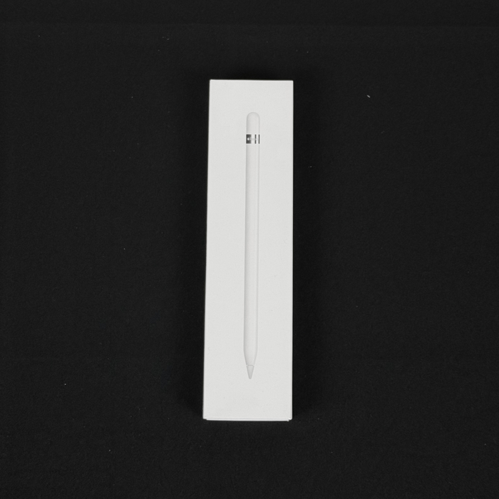 Apple Pencil 1ª Geração