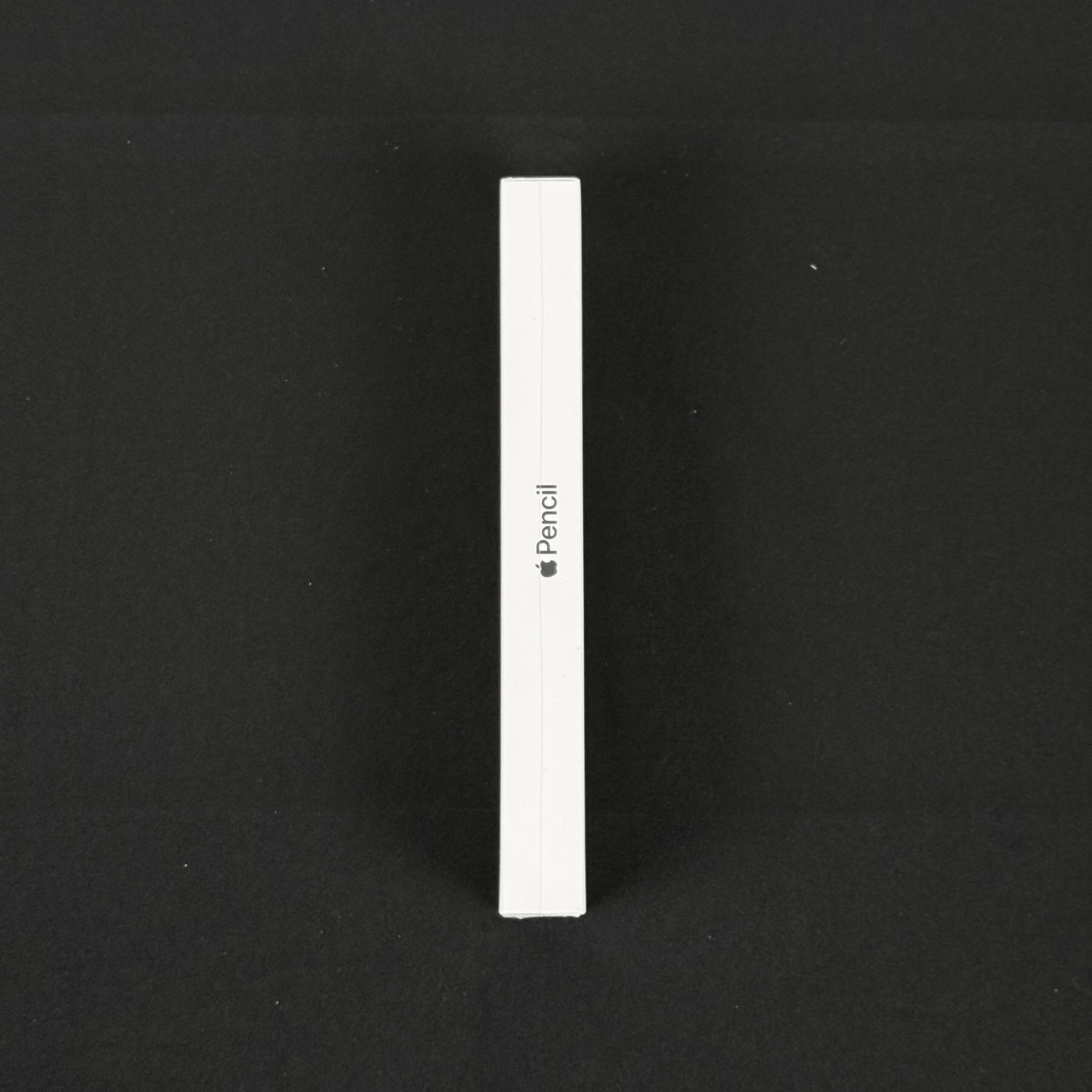 Apple Pencil 1ª Geração