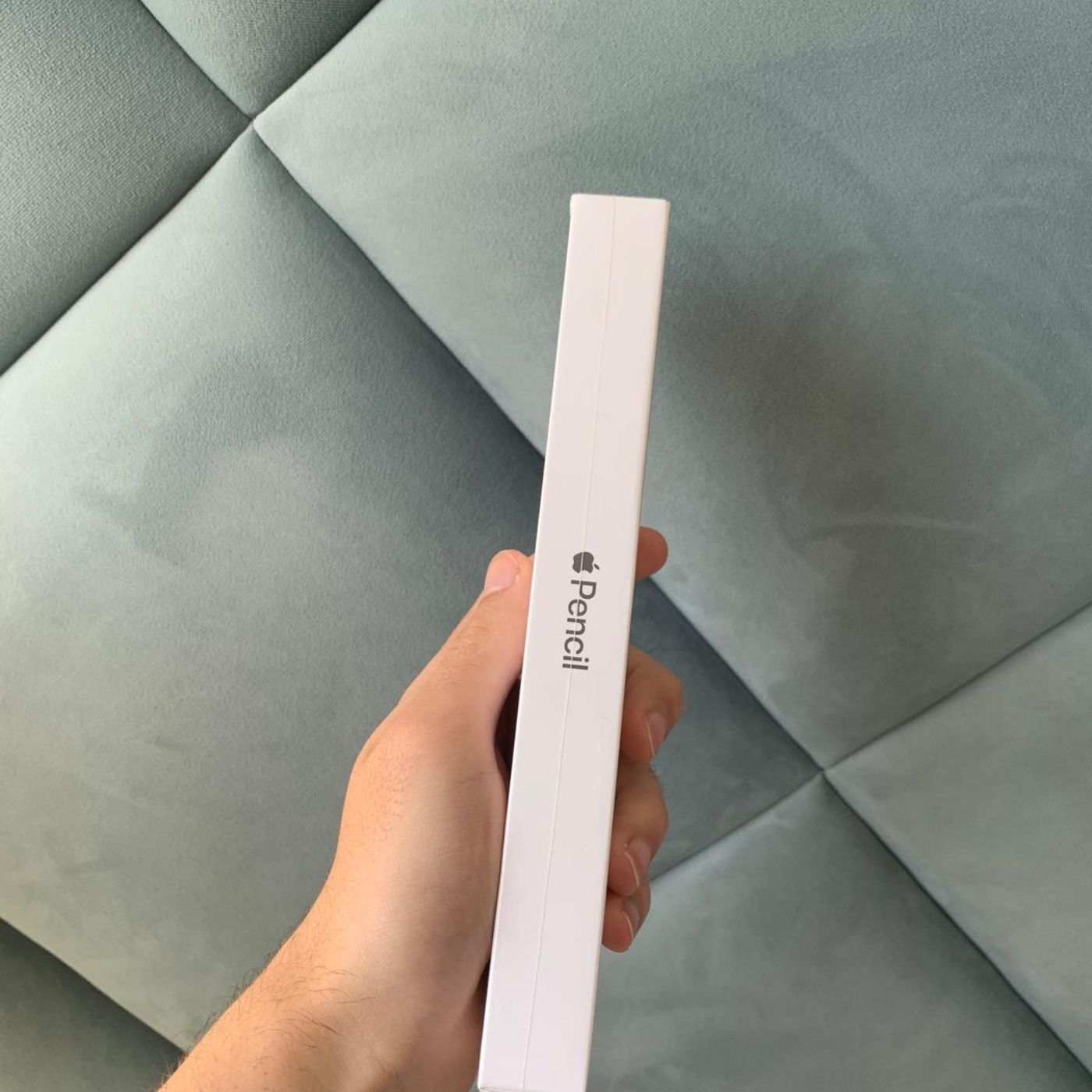 Apple Pencil 2ª Geração