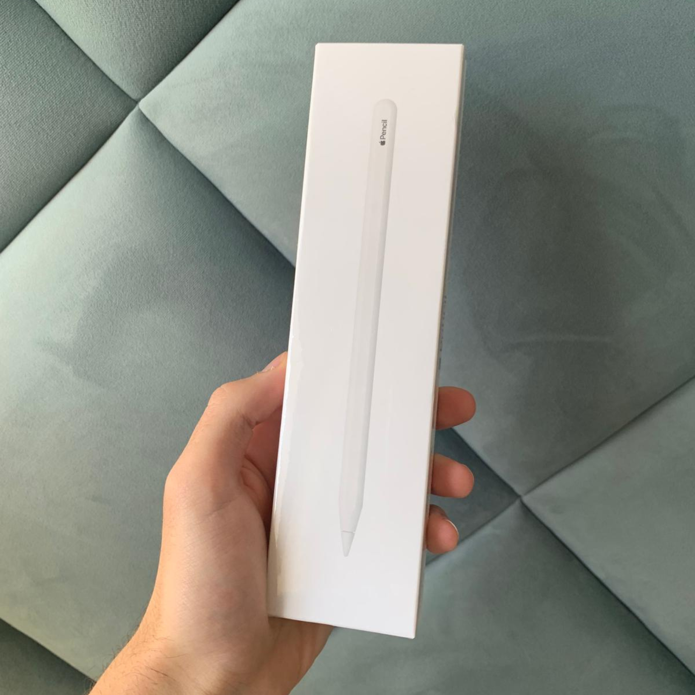 Apple Pencil 2ª Geração